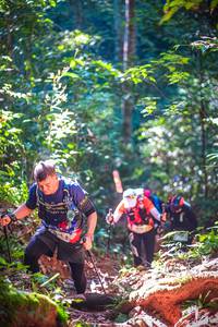 BIB: 
                            <button type="button" onclick="openModal(19331542)" class="btn btn-primary btn-sm float-right btn-popup" data-toggle="modal" data-target=".modal-high-quality">
                        <i class="fas fa-shopping-cart"></i> Add to Cart
                    </button>
                                            <button type="button" onclick="isThisMe(19331542, true)" class="btn btn-success btn-sm float-right btn-popup btn-isme hidden" data-toggle="tooltip" data-placement="bottom" title="นี่คือรูปของคุณใช่ไหม คลิกที่นี่เพื่อเอาเข้าอัลบั้ม">
                        <i class="fas fa-plus"></i> Add to album
                    </button>
                    <button type="button" onclick="isThisMe(19331542, false)" class="btn btn-warning btn-sm float-right btn-popup btn-isnotme hidden">
                        <i class="fas fa-ban"></i> Remove from album
                    </button>